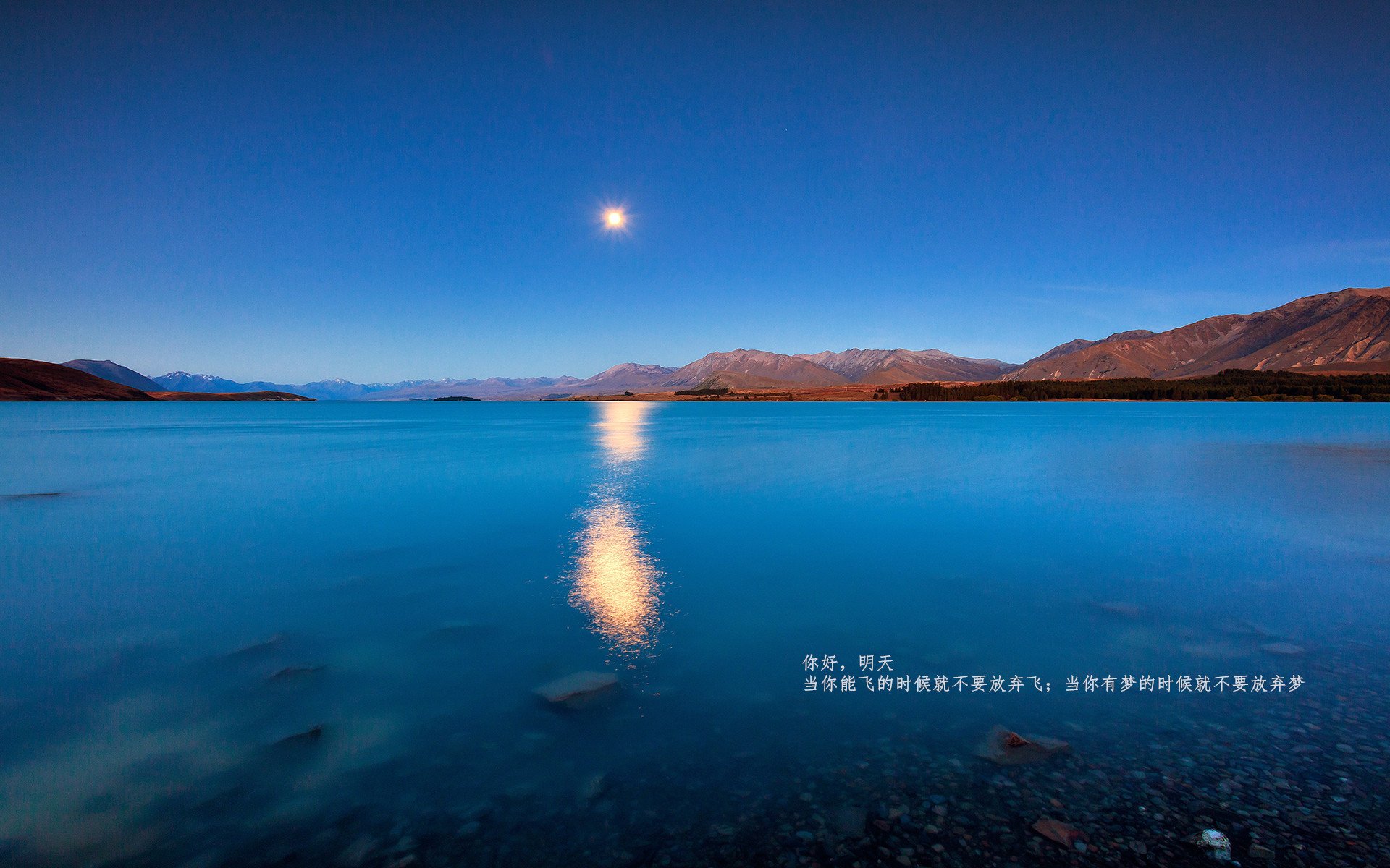 中场魔术师降临！贝林厄姆攻防一体碾碎罗马，威尔士新王朝揭开序幕